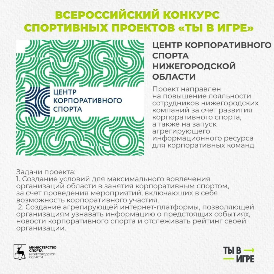 Нижегородский проект прошел в финал конкурса «Ты в игре!» 